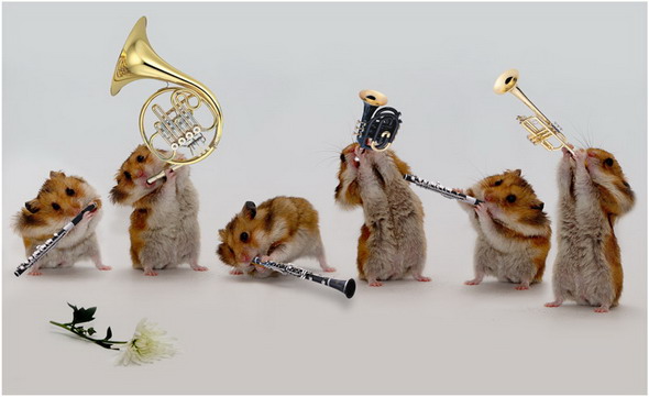 IriSelena. Вне стиля, или Непонятный домик