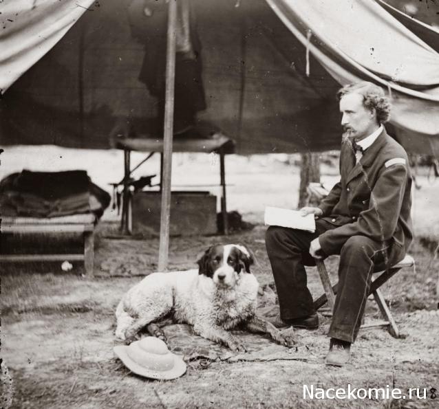 Наполеоновские Войны - Угадай армию