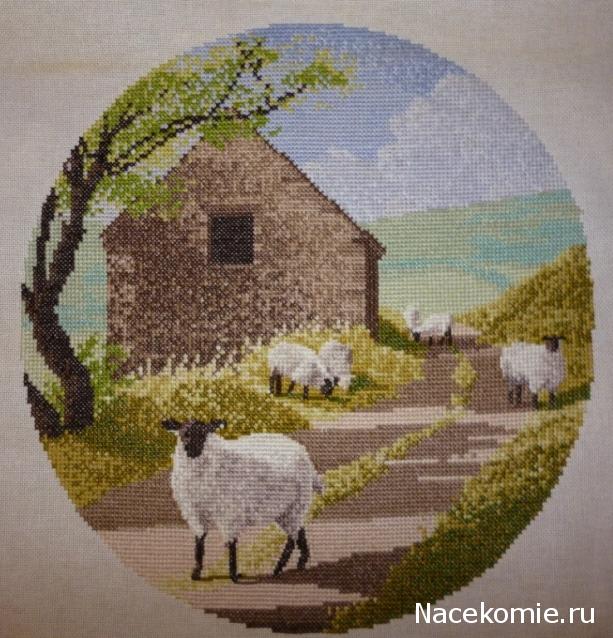 Хвастушки - наши творения