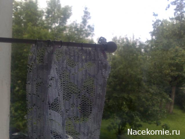 Дом Мечты и Трамвайчик желаний