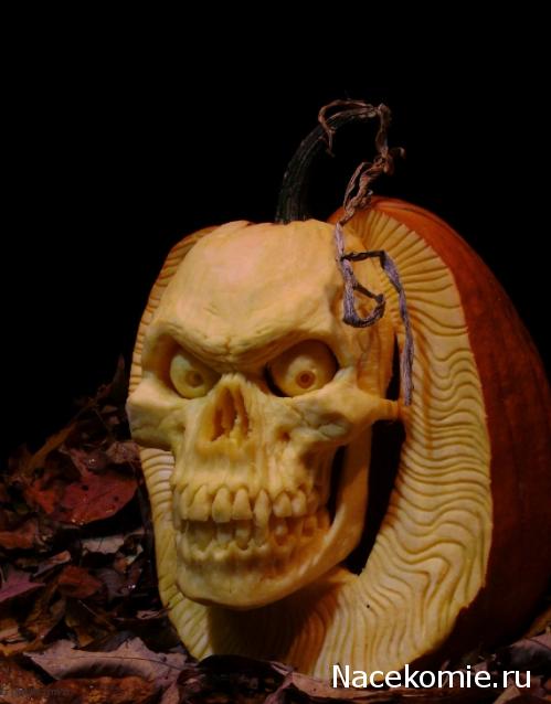 Собери Черную Жемчужину - График Выхода и обсуждение