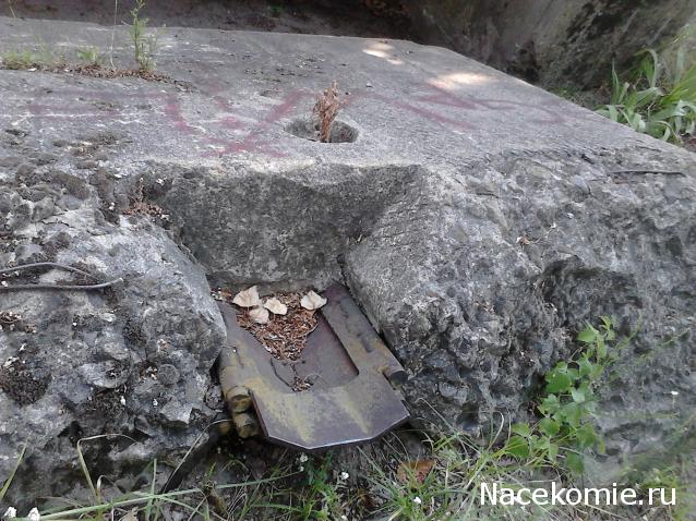 Танкодром (Общая Болталка танковых разделов)