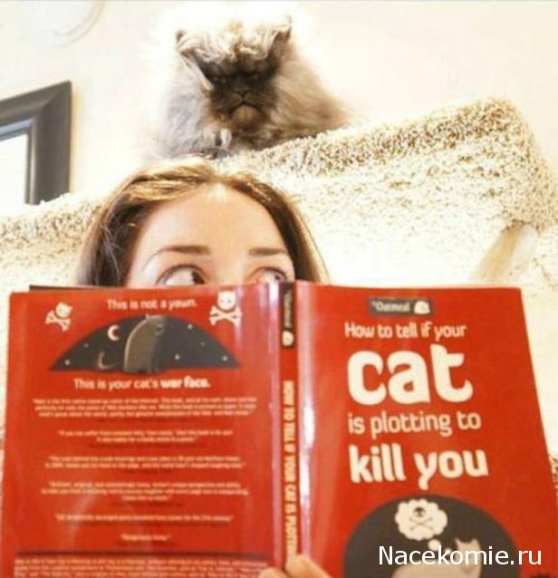 Солдаты ВОВ - Землянка (общение на разные темы)