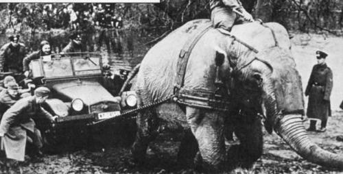 Танкодром (Общая Болталка танковых разделов)