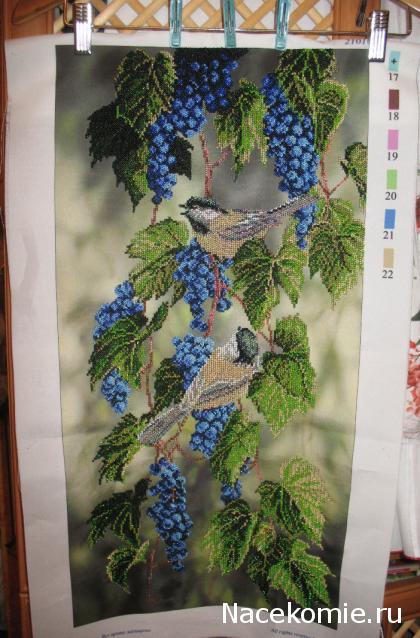 Хвастушки - наши творения