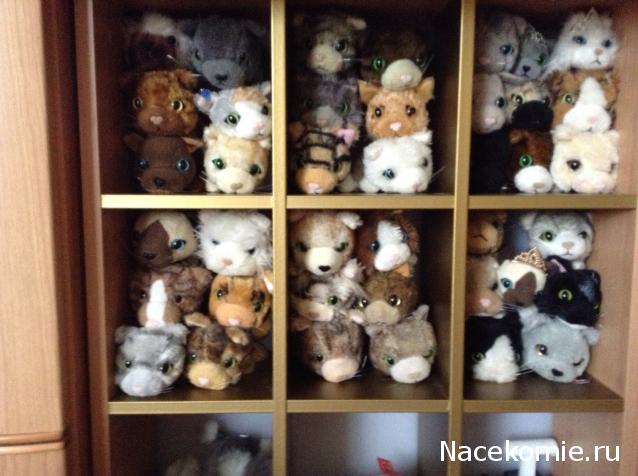 Кошкин дом. Болталка The Cat Collection