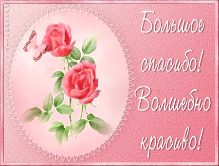 IceGalina - И я с вами!