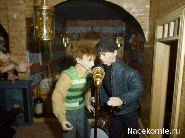 IriSelena. Вне стиля, или Непонятный домик