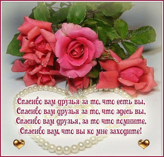 IriSelena. Вне стиля, или Непонятный домик