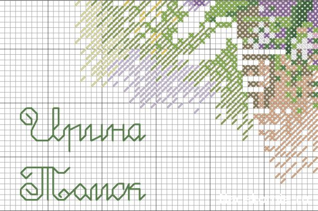 Round Robin_координатор Mabelle