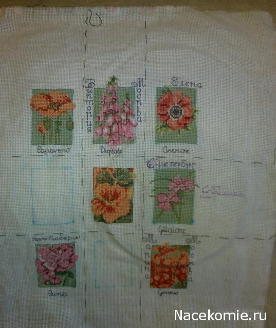 Round Robin_координатор Mabelle