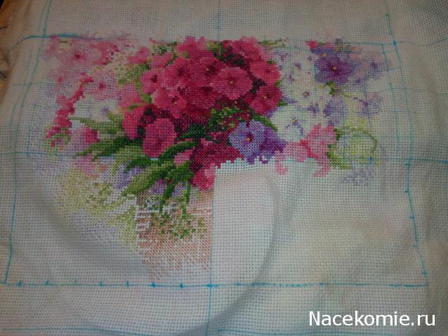 Round Robin_координатор Mabelle