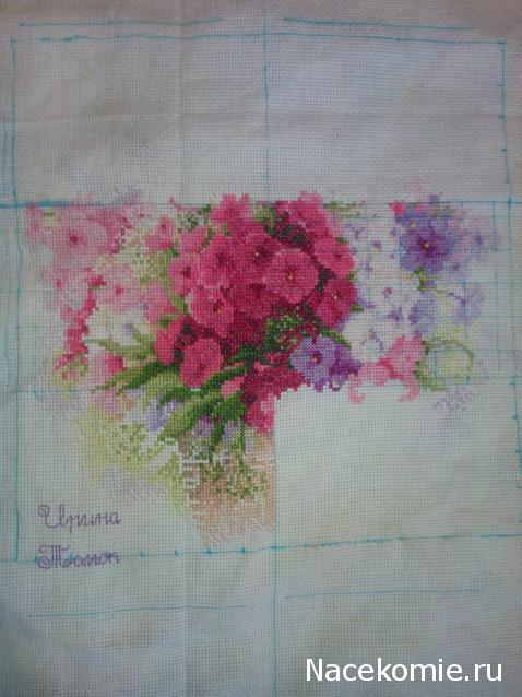 Round Robin_координатор Mabelle