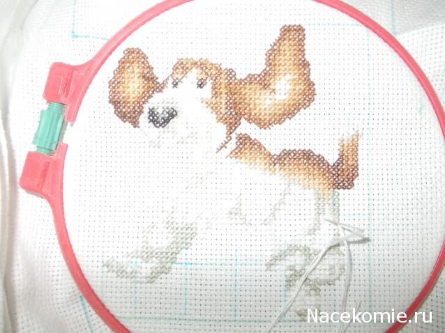 Round Robin- координатор  shabsik