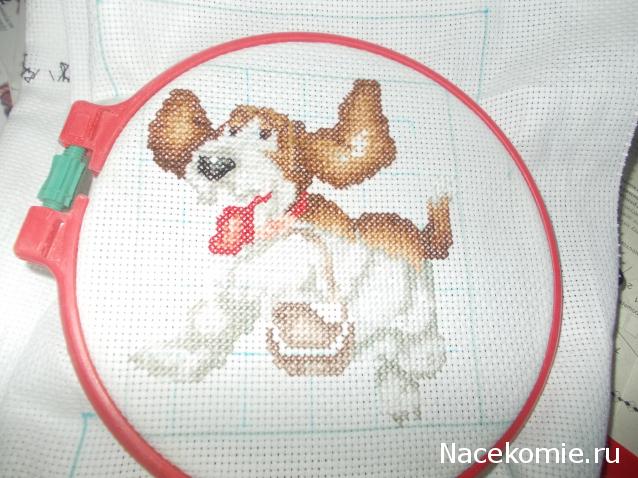 Round Robin- координатор  shabsik