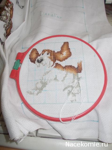 Round Robin- координатор  shabsik