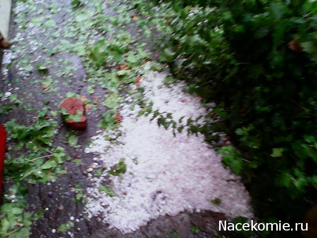 IriSelena. Вне стиля, или Непонятный домик