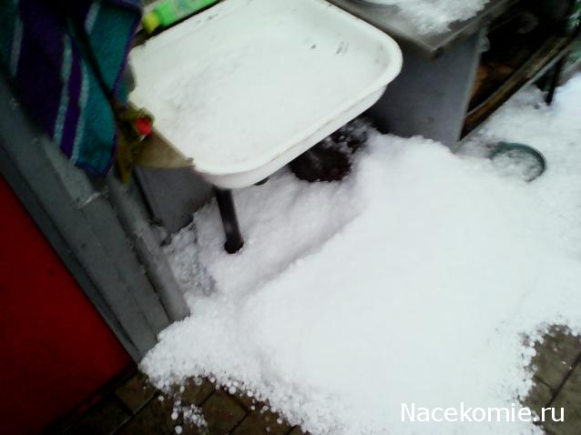 IriSelena. Вне стиля, или Непонятный домик