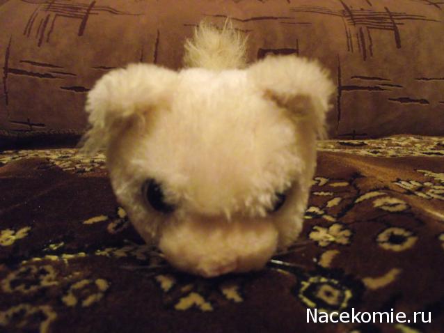 The Cat Collection №33 Тиффани Фото