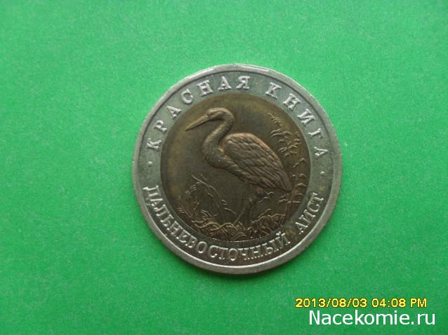 Nata