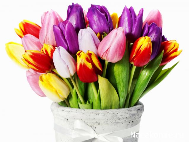 Стежок-за стежком-болталка вышивка крестом