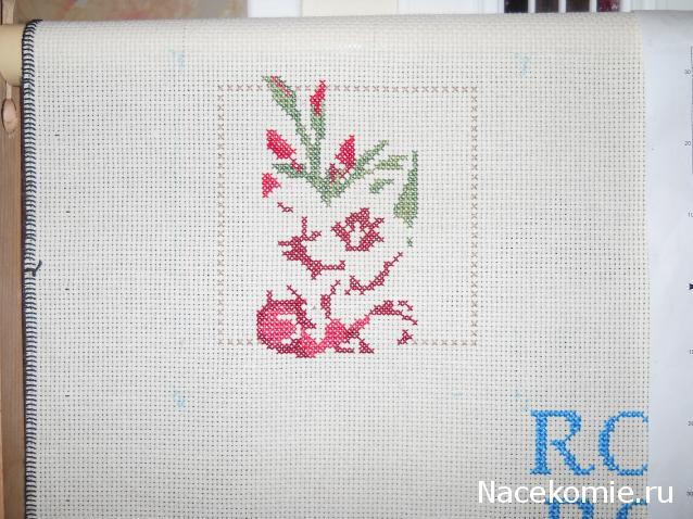 Round Robin- координатор  shabsik