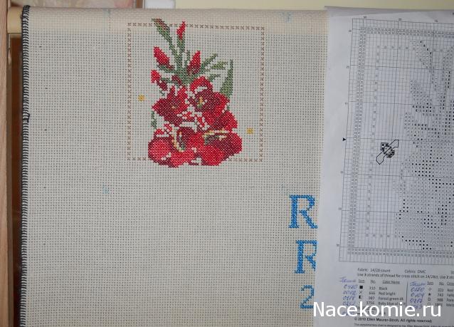 Round Robin- координатор  shabsik