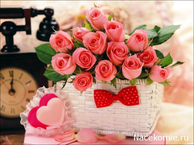 Дом Мечты наши дни рождения