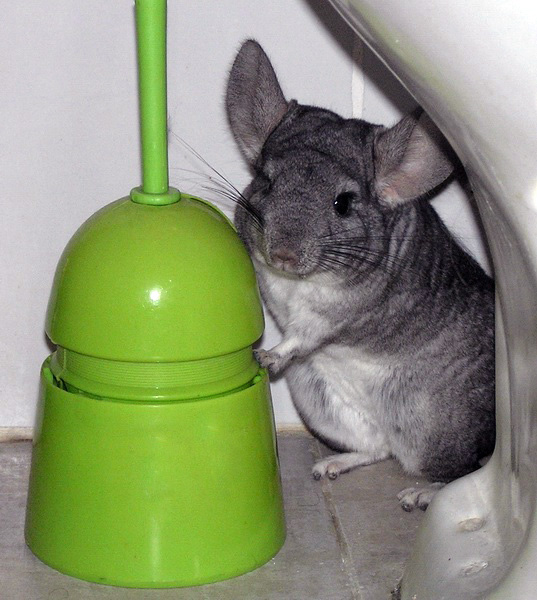 Солдаты ВОВ - Землянка (общение на разные темы)