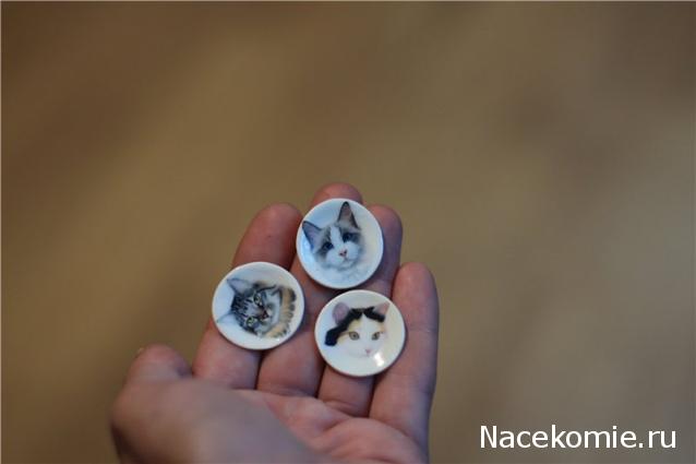 Caracal, строительство в разгаре