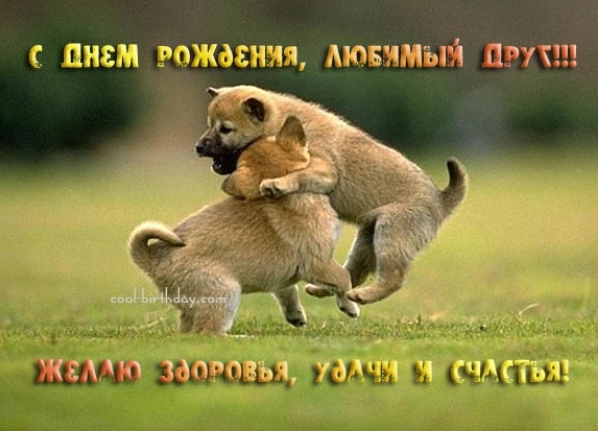 ElinaM - неожиданное увлечение