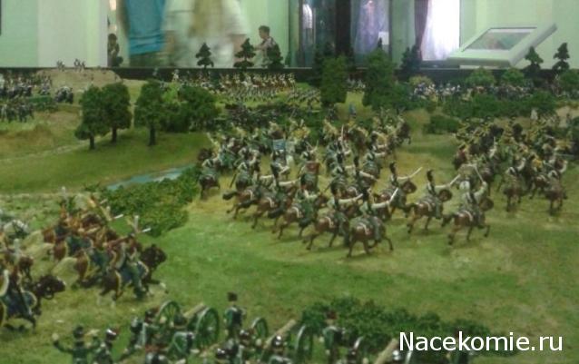 Фотоотчеты с Выставок