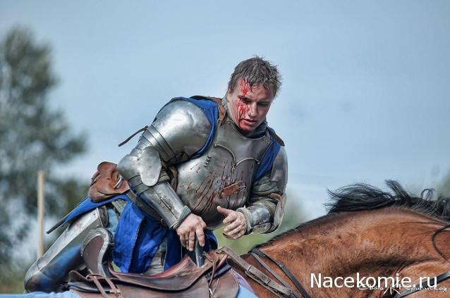 Фотоотчеты с Выставок