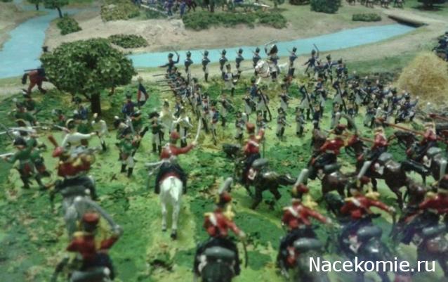 Фотоотчеты с Выставок