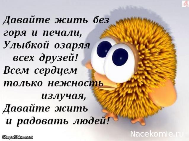 Дом Мечты наши дни рождения