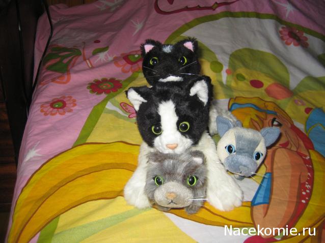 Кошкин дом. Болталка The Cat Collection