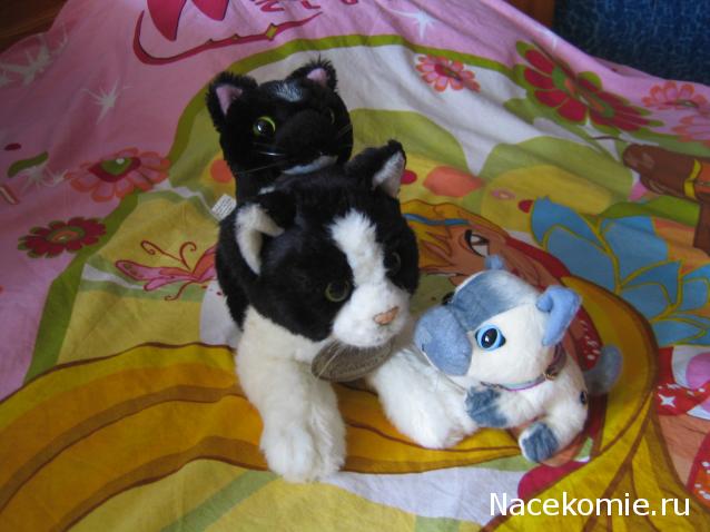 Кошкин дом. Болталка The Cat Collection