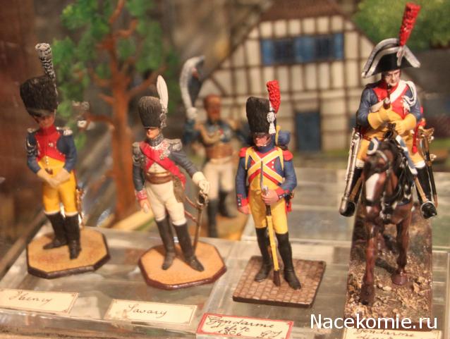 Фотоотчеты с Выставок