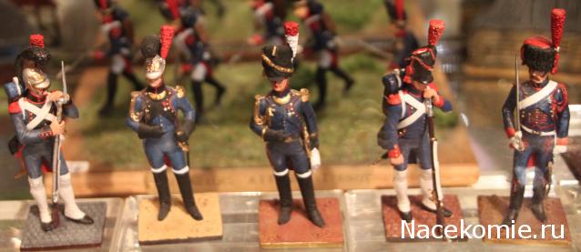 Фотоотчеты с Выставок