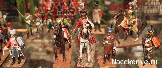 Фотоотчеты с Выставок