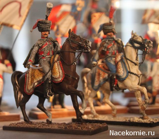 Фотоотчеты с Выставок