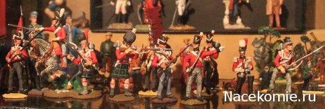 Фотоотчеты с Выставок