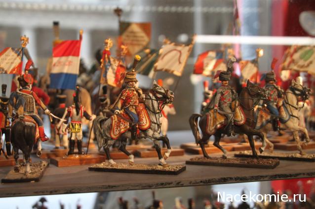 Фотоотчеты с Выставок