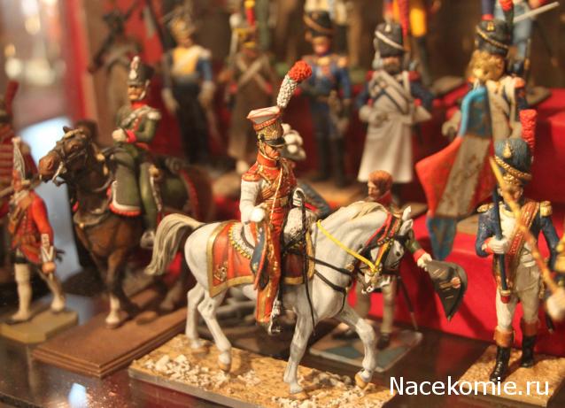 Фотоотчеты с Выставок