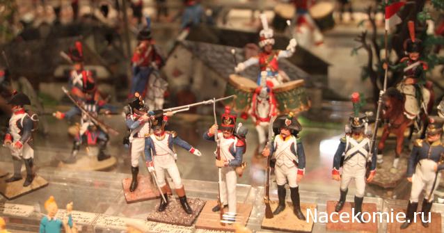 Фотоотчеты с Выставок