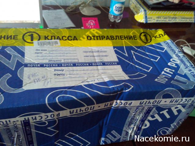 Round Robin_координатор Mabelle