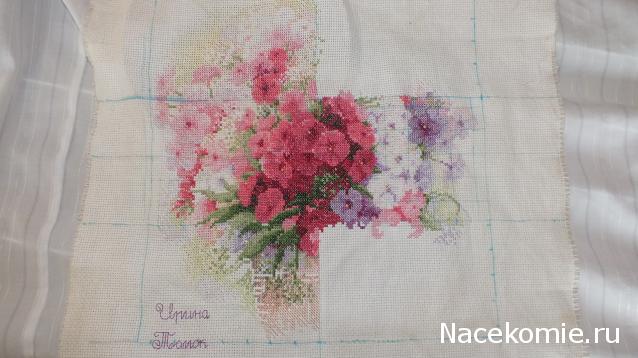 Round Robin_координатор Mabelle