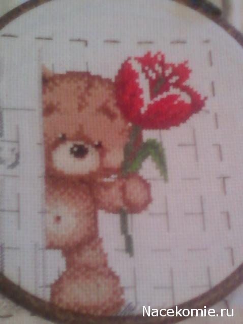 Round Robin_ координатор Irvi