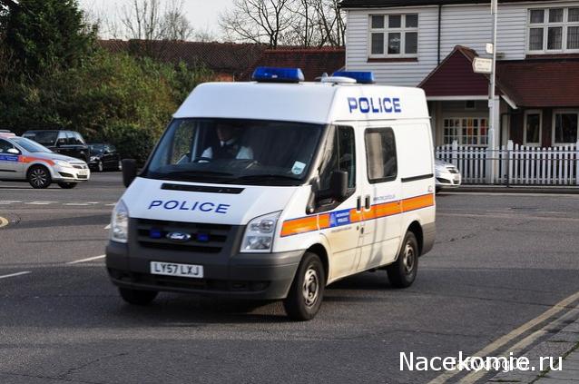 Полицейские Машины Мира - График выхода и обсуждение