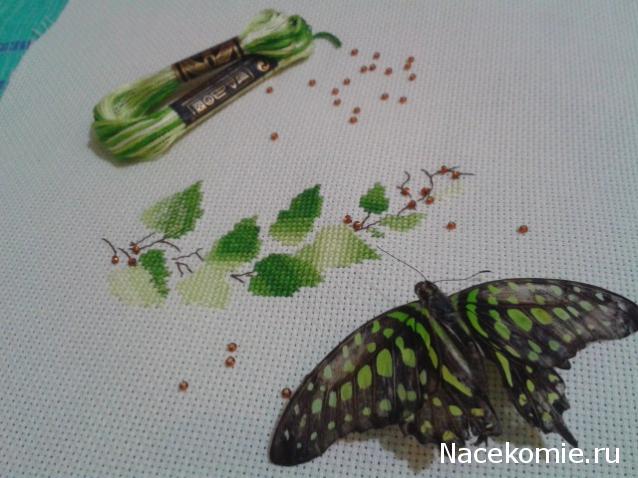 Хвастушки - наши творения